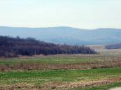 2013 р. Краєвид долини на схід від…