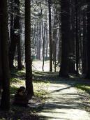 2013 р. Стежка між «Захаром Беркутом»…