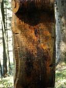 2013 р. Таблиця з написом