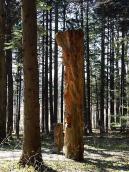 2013 р. Загальний вигляд з північного…