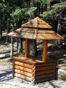 2013 р. Криниця