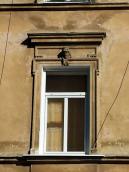 2013 р. Вікно 2-го поверху