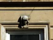 Маскарон над вікном 1-го поверху