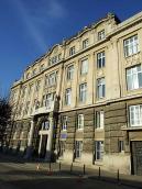 2013 р. Загальний вигляд