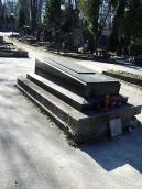 2013 р. Загальний вигляд