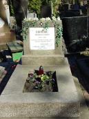 2013 р. Загальний вигляд