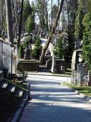 2013 р. Алея між полями 6 (ліворуч) та…