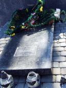 Могила Володимири Сеник (1928 – 2010)