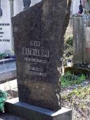 2013 р. Загальний вигляд