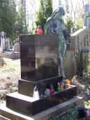 2013 р. Загальний вигляд