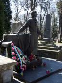 2013 р. Загальний вигляд