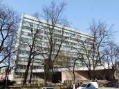 2013 р. Загальний вигляд