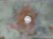 Однак, наскрізна!