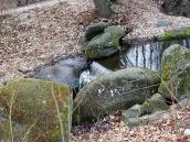 2015 р. Вигляд поперек течії