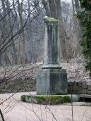 2015 р. Загальний вигляд (2)