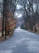 Головна алея