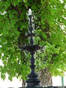 Верхня частина