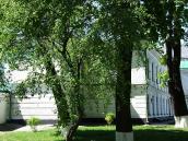 Південне крило келій півчих. Вигляд зі…