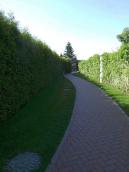 Доріжка уздовж паркана