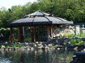 Альтанка на березі ставка (12)