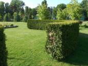 Вигляд зі сходу