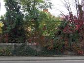 2019 р. Фронтальний вигляд