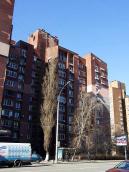 2020 р. Загальний вигляд з південного…