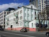 2020 р. Загальний вигляд з півдня