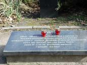 Середня плита