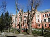 2020 р. Ліва і середня частини…