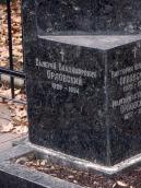 Могила В. В. Орловського (1929 – 1994)