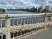 Ліва частина гірлянди (2)