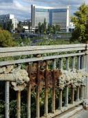 Над Гідропарком відвалився фрагмент…